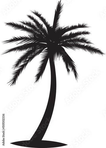 palm tree silhouette