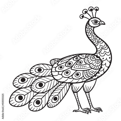 Elegant form and vibrant plumage, set against a clean white background.