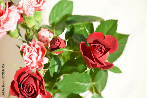 Fototapeta Naklejka Na Ścianę i Meble -  薔薇とカーネーション