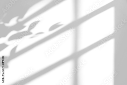 shadow overlay effects of realistic window and tree branch shadow with light blur on transparent background,Summer sunlight and shadow overlay effect
