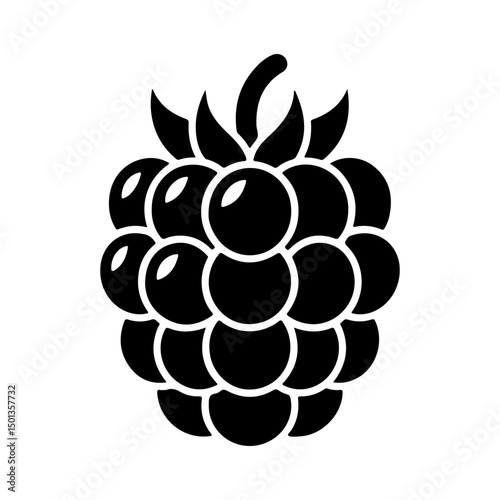 black blackberry icon Silhouette vector style on white background 