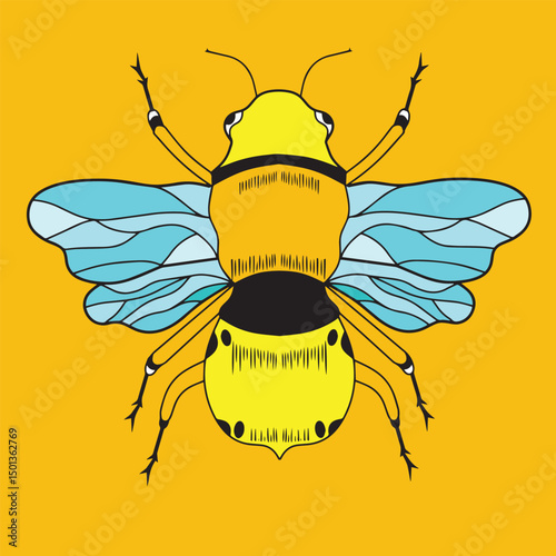 bee illustration drawn vector