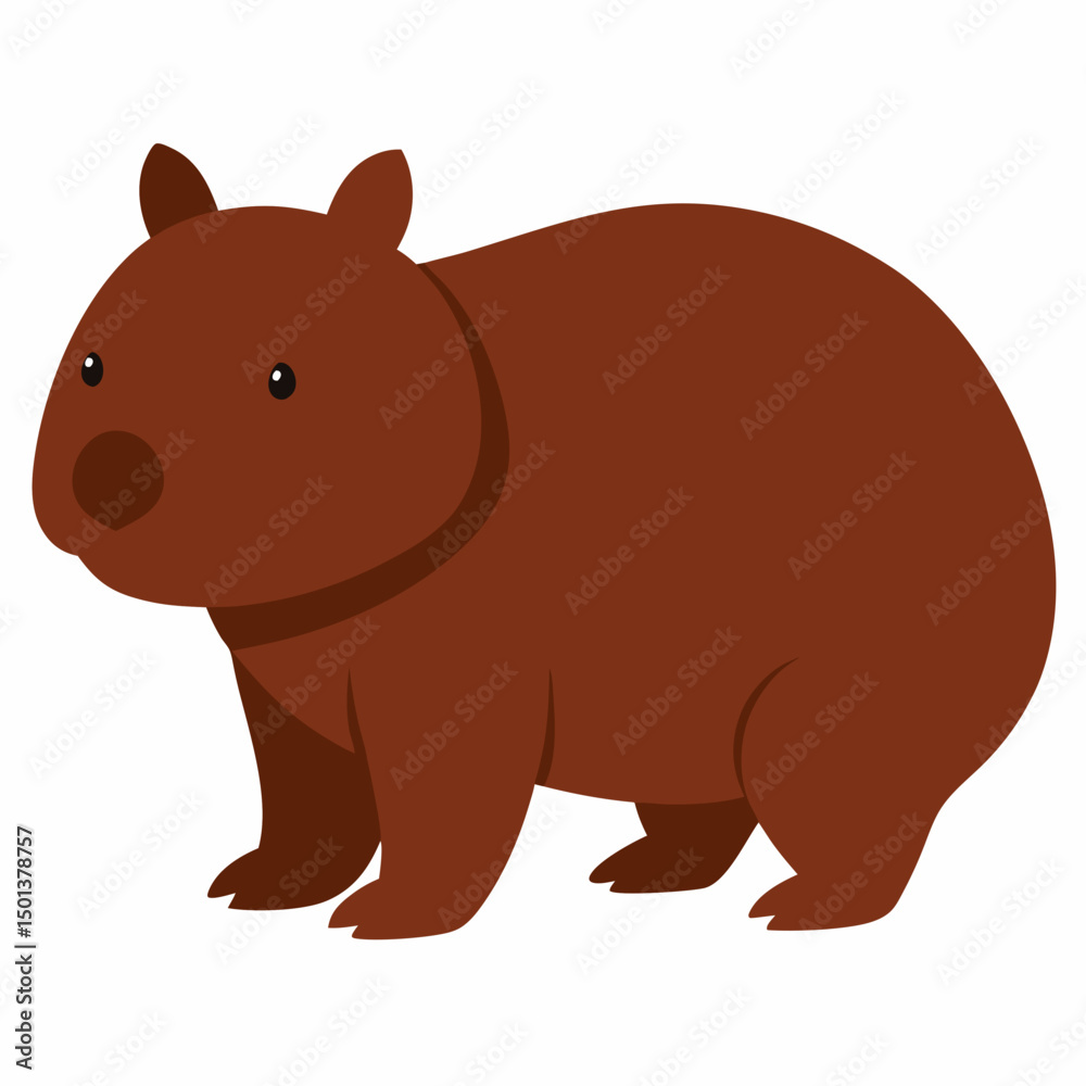 Obraz premium Wombat with white background 