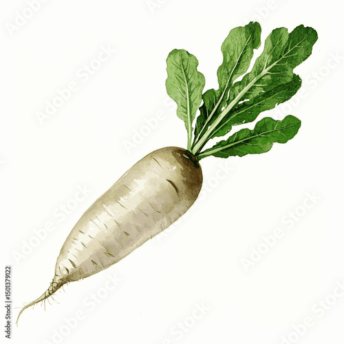 Tangles of Blush: Subterranean Flow radish roots isolated watercolor vector illustration svg
