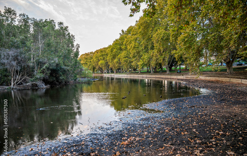 Scenic Pond View with Ducks Surrounded by Trees and Nature on a Calm Autumn Day in Hyde Park, Perth, Australia, 12 April 2020