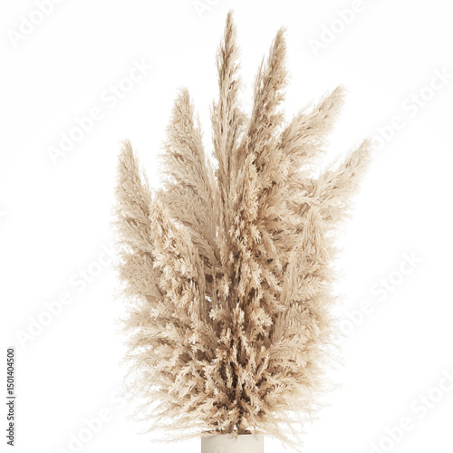 3D illustration Floral white bouquet of dried flowers with branches of cortaderia pampas