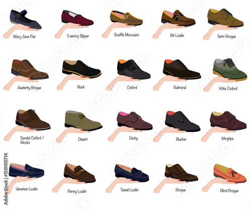 Set of Footwear Collection with name Vector Art