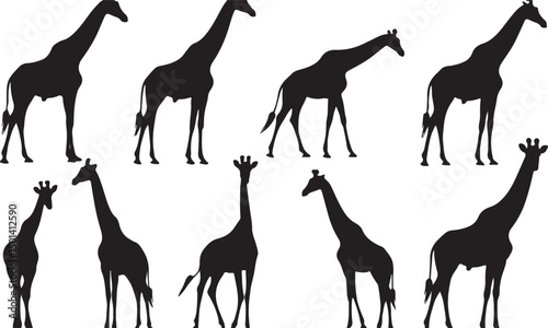 Playful Wildlife Vector Illustration: Black and White Silhouette of Stylized Giraffe in Creative Graphic Art Design