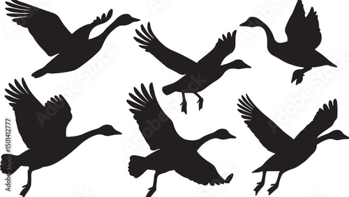 Silhouettes of Geese in Flight: Artistic Bird Illustrations Showcasing Wild Bird Movement and Flocking Behavior in Ornithology Art