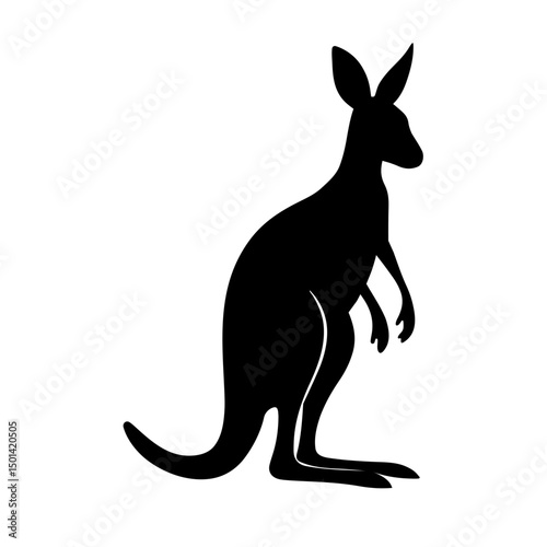 kangaroo vector illustration