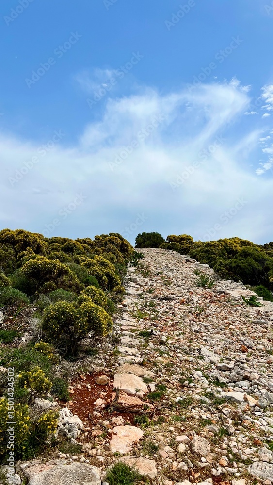 Fototapeta premium Vertical photo. A stone-paved road winds through low vegetation under a blue sky on Kastellorizo Island, Greece. Mediterranean landscape, hiking in Greece, summer vacation, computer wallpaper. 