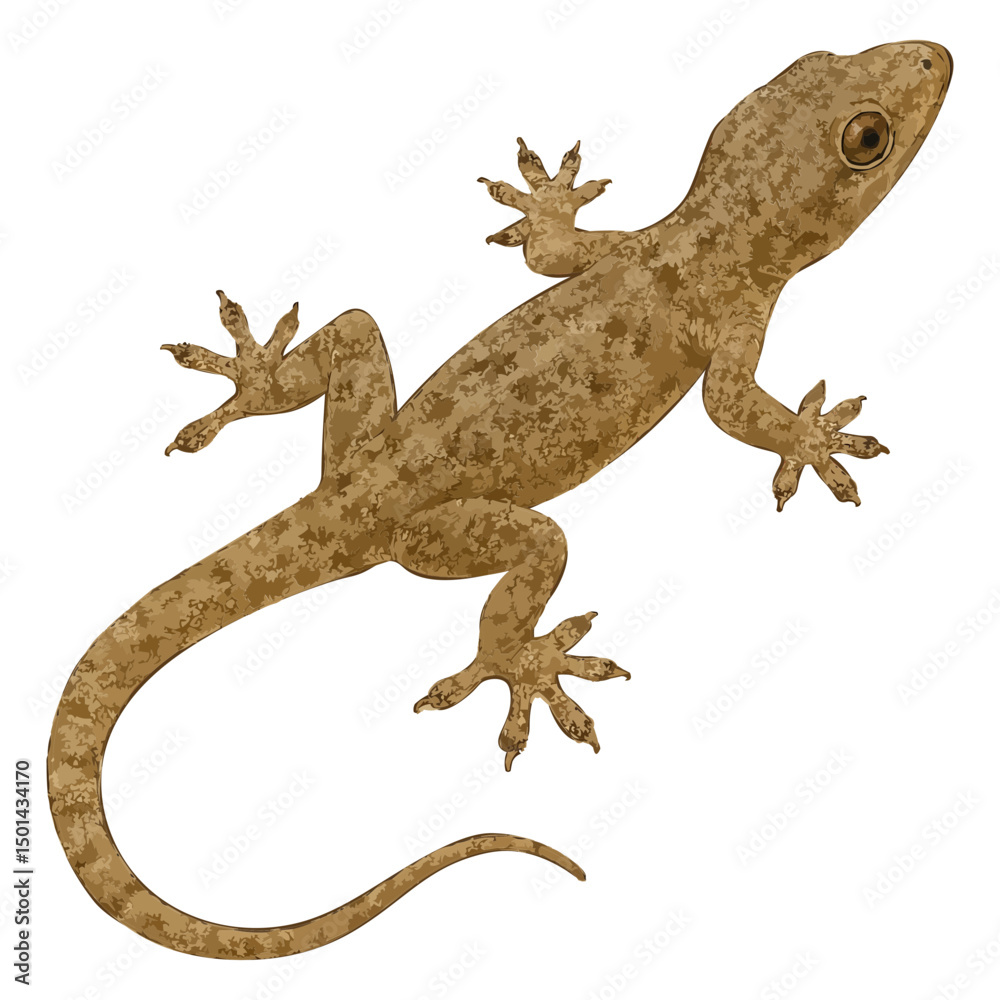 Naklejka premium Realistic 4K House Gecko Illustration
