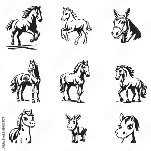 Stylized Horse and Donkey Illustrations