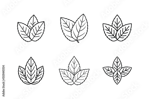 mint leaf line art vector illustration
