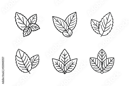 mint leaf icon line art vector illustration