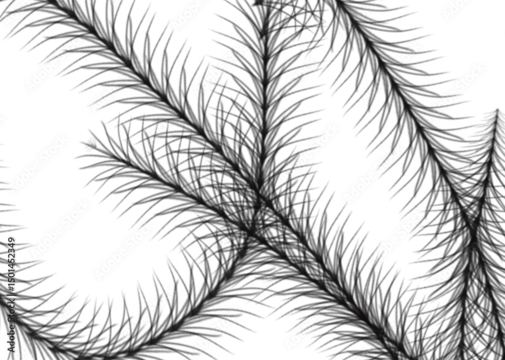 Obraz premium feathers seamless pattern