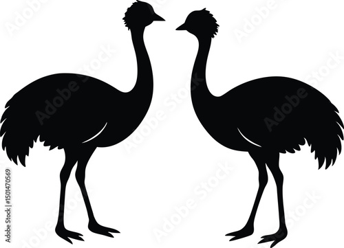 Two emu bird silhouette, Emu bird silhouette vector, Two emu face to face standing bird silhouette