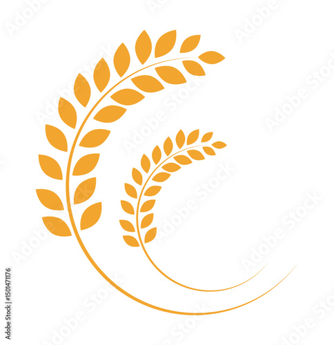 Wheat ears icon set. Wheat logo. Grain spikes set icons. Grain icon. Agriculture symbol. vector illustration.