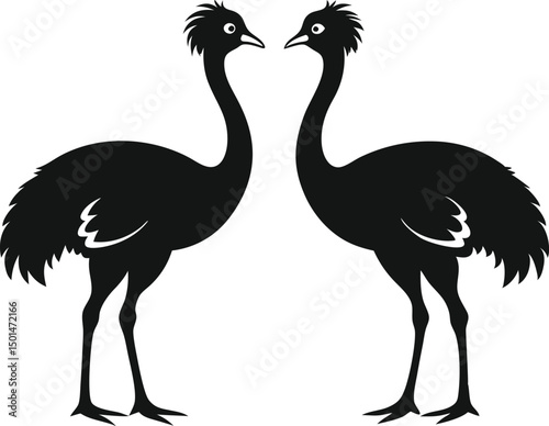 Two emu bird silhouette, Emu bird silhouette vector, Two emu face to face standing bird silhouette