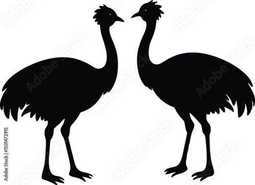 Two emu bird silhouette, Emu bird silhouette vector, Two emu face to face standing bird silhouette