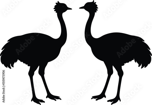 Two emu bird silhouette, Emu bird silhouette vector, Two emu face to face standing bird silhouette