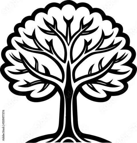 beech  tree line art vector art icon black and white , white background 