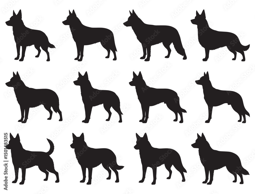 Fototapeta premium AUSTRALIAN KELPIE DOG SILHOUETTE
