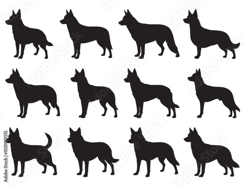 AUSTRALIAN KELPIE DOG SILHOUETTE