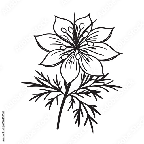 Love-in-a-Mist Flower – Whimsical Blooms and Fine Botanical Elements for Romantic Projects photo