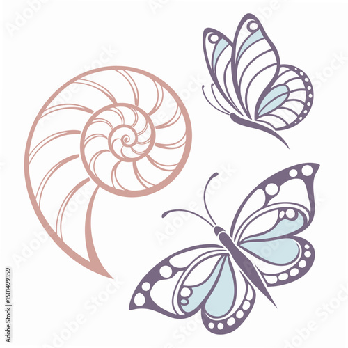 Elegant nautiluses and butterflies design elements on white background