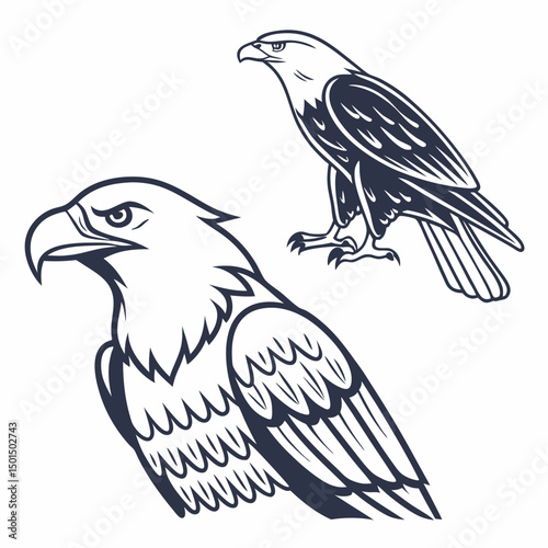 Majestic eagles profile and full body line art illustration