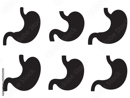 STOMACH SILHOUETTE