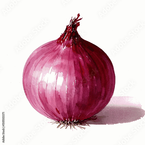 Crimson Layers: Watercolor Hues red onion isolated vector illustration svg