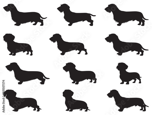 WIREHAIRED DACHSHUND DOG SILHOUETTE
