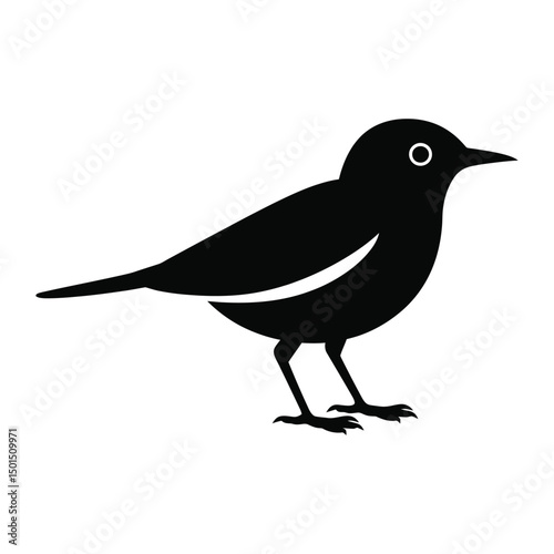 Thrush bird in black silhouette vector illustration

