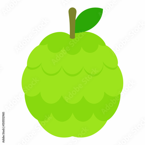 vector illustration of an Custard apple