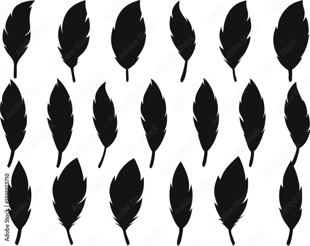 Fototapeta premium Bird feather icons set, set of feather silhouette vector illustration