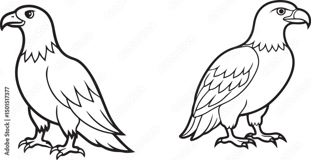 Obraz premium Eagle silhouette 