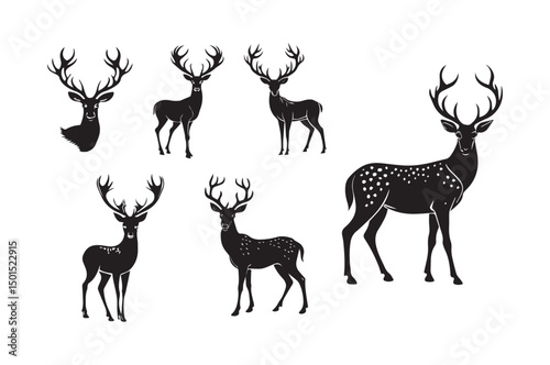 vector illustration of a giraffe on white background