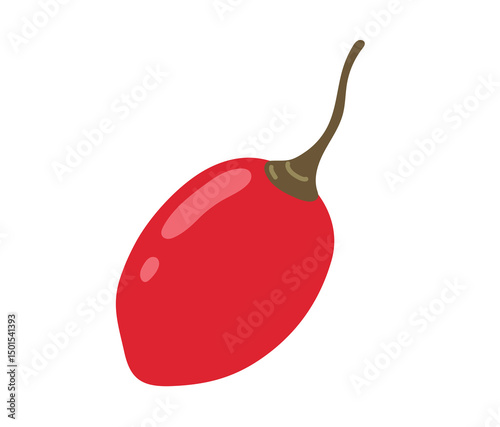 Tamarillo egg-shaped tropical exotic fruit. Tree tomato. Vector hand-drawn illustration, isolated on white background.