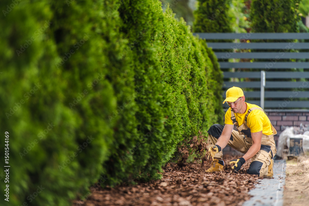 Naklejka premium Gardener Tending to Plants and Laying Mulch in a Neatly Landscaped Yard During Sunny Weather