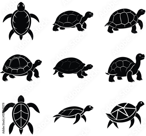 Collection of Nine Turtle Silhouettes Vector Illustrations