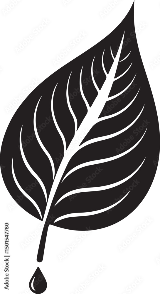 Obraz premium leaves vector with water drop . illustrator art black color