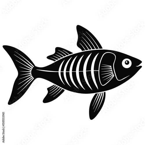 x ray tetra vector fish