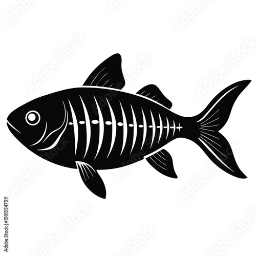 x ray tetra vector fish