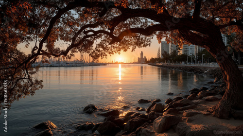Sunset over Marina Framed by Tree Branches and City Skyline 
