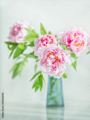 portrait view to beautiful bouquet of peonies flowers in glass vase on white table in soft light