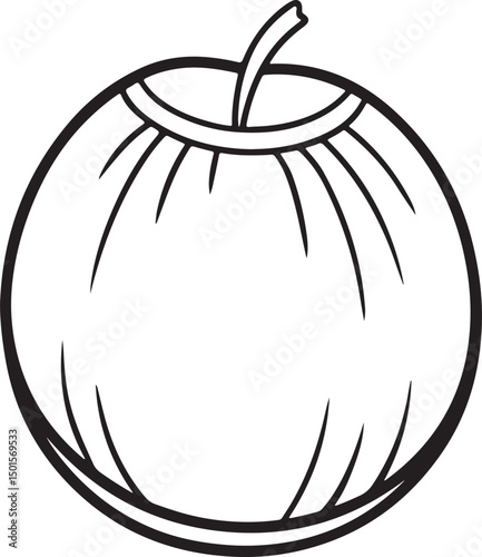 Coconut line art vector