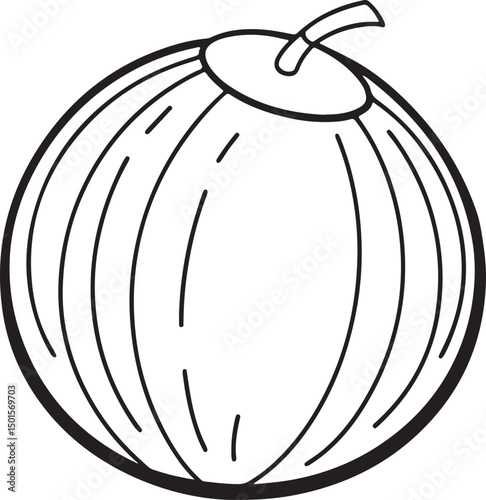 Coconut line art vector