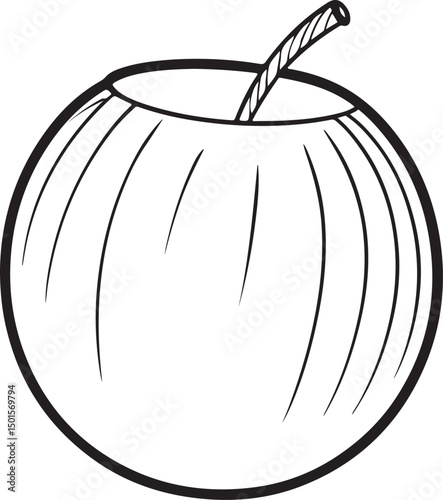 Coconut line art vector